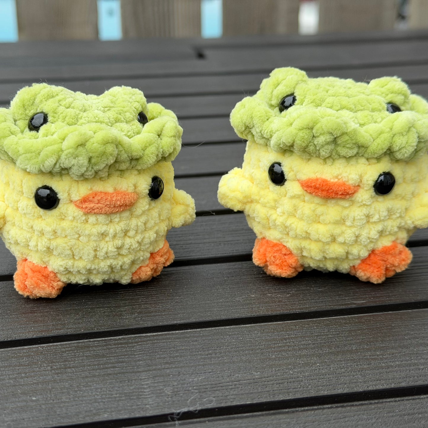 Duck in Frog Hat