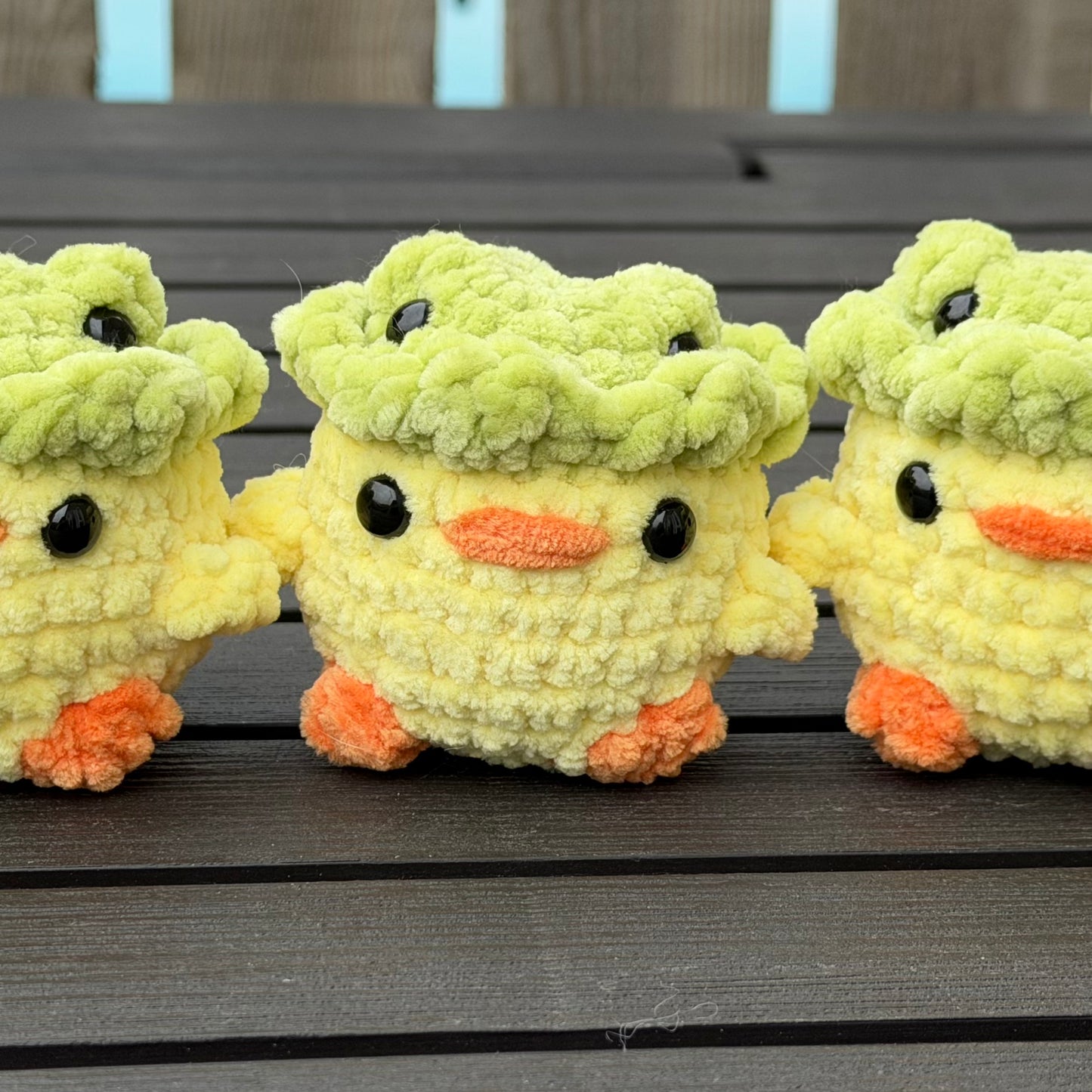 Duck in Frog Hat
