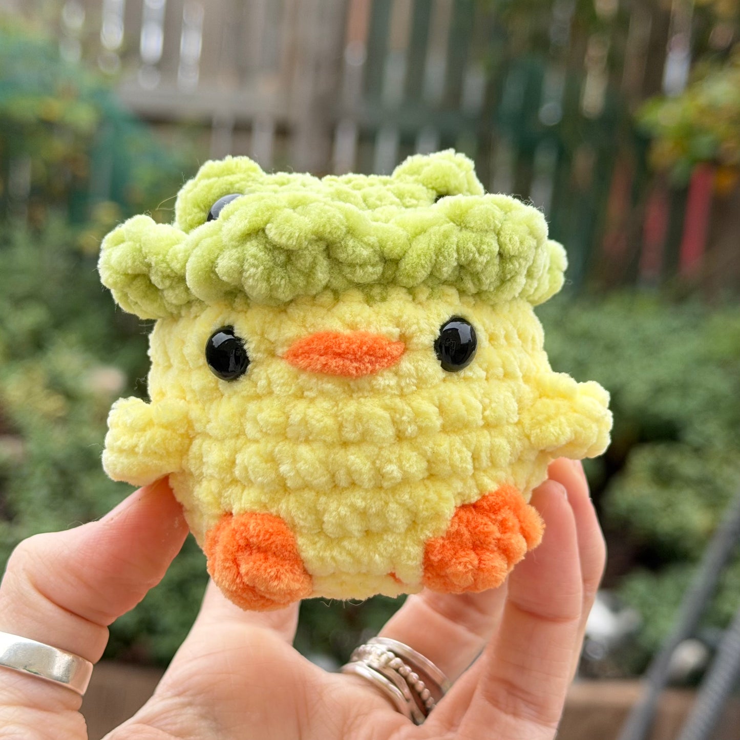 Duck in Frog Hat