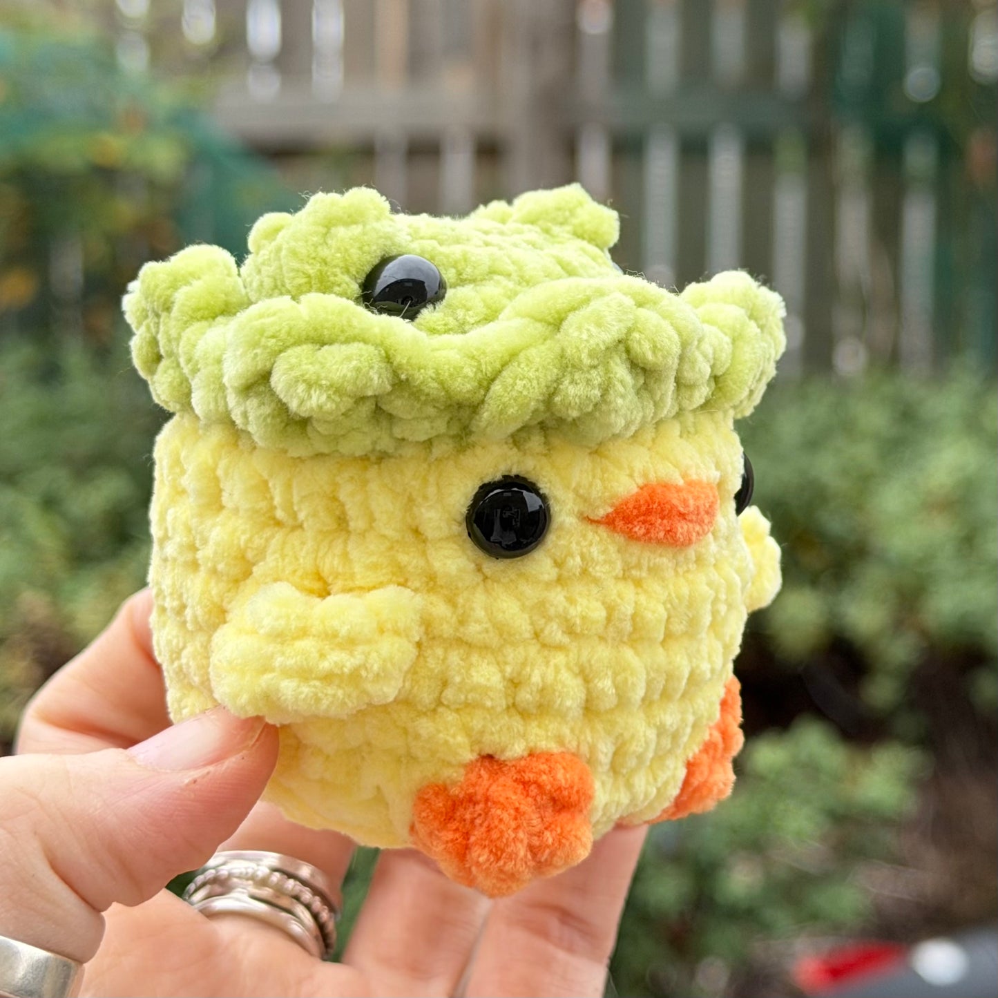 Duck in Frog Hat