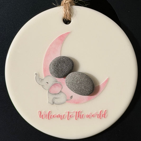 Welcome to the World Hanging Pebble Decoration